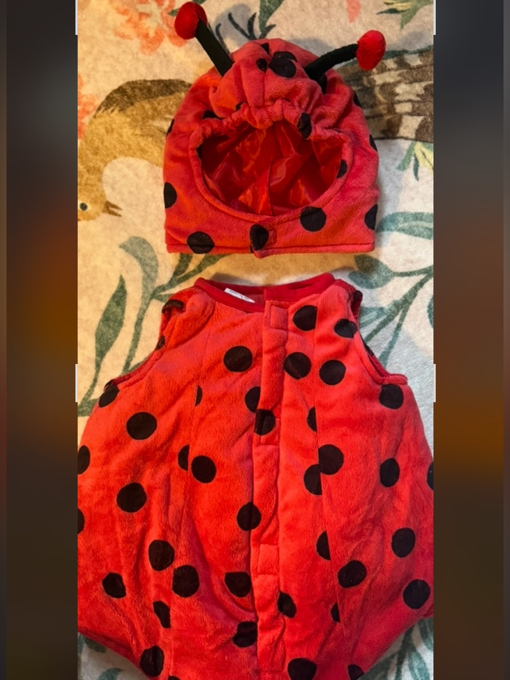 Kids Ladybug Costume Set - Red with Black Spots 0-6 moths easy on and off